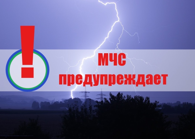 «Оперативное предупреждение» с 07 октября 2023 года днем  местами на территории Республики Мордовия ожидаются порывы ветра до 17 м/с.