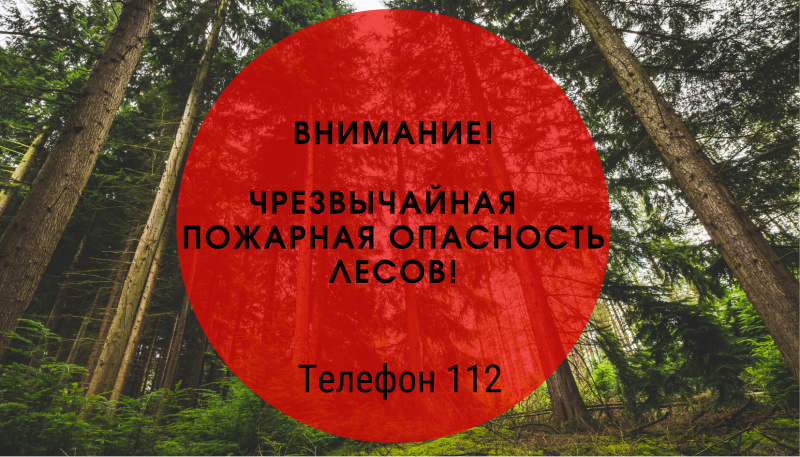 С 23 по 28 октября 2024 года на территории Республики Мордовия местами сохраняется чрезвычайная пожарная опасность лесов 5 класса горимости.